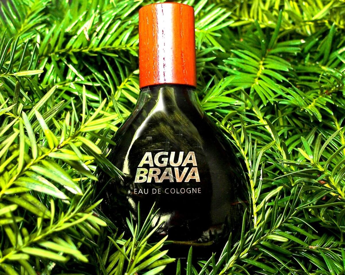 Agua Brava Eau de Cologne 200 ml – Antonio Puig (Hombre)